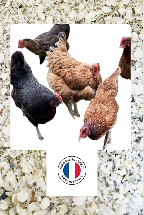 2,5KG de Coquilles d'Huîtres Françaises Naturelles, hygiénisées, calibrées et broyées pour volailles - Haute Teneur en Calcium: 36 à 38% et Oligo éléments (2,5 kg)
