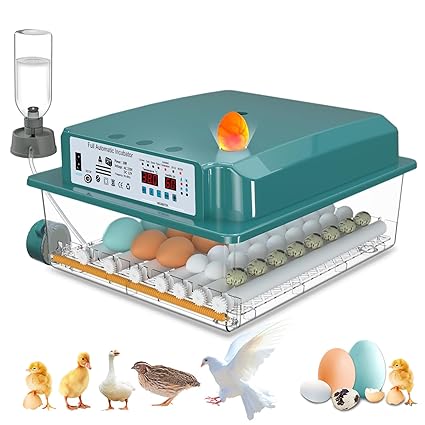 CoInceptus Couveuse Oeuf Automatique, Incubateur Oeuf Automatique 24-36 Oeufs avec Retournement Automatique des Oeufs et Humidification Automatique, Couveuse pour Oeufs de Poule, Caille, Canard
