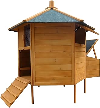 Coins de 6 Poules Poulailler hühne rvoliere poule Pondoirs Incubateur Cage