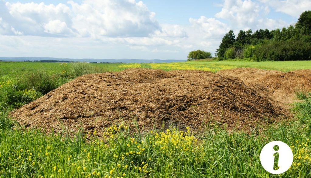 Couche chaude de fumier pour les poules : avantages et conseils d'utilisation