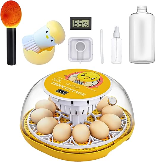 Couveuse Oeuf Automatique,TRIOCOTTAGE Incubateur Pour 12 œUfs,Incubateur Avec SystèMe De Rotation Automatique Et ContrôLe De La TempéRature Pour Poulailler, Incubateur De Poulets, Caille
