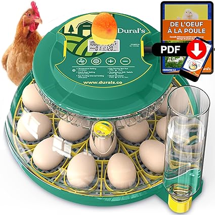 Dural's DX5® | Professionnel | Couveuse œuf automatique | Certifiée CE | Température Précise & Contrôle de l’Humidité | Jusqu’à 18 œufs de Poule, Caille, Canard | Retournement Œuf automatique
