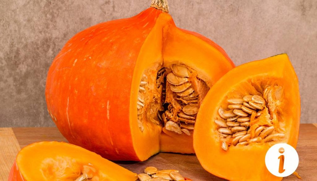 Graine de potimarron pour les poules : avantages nutritionnels