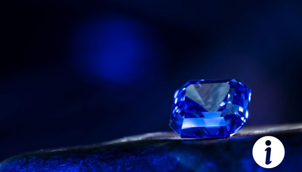 Tout savoir sur la poule Sapphire : Une race rare et élégante