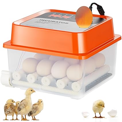 VEVOR Couveuse Œuf Automatique Incubateur pour Œufs à Couver Retournement Automatique 12 Œufs avec Contrôle de Température et d'Humidité Base Transparente pour Éclosion d'Œufs de Poule Canard Caille