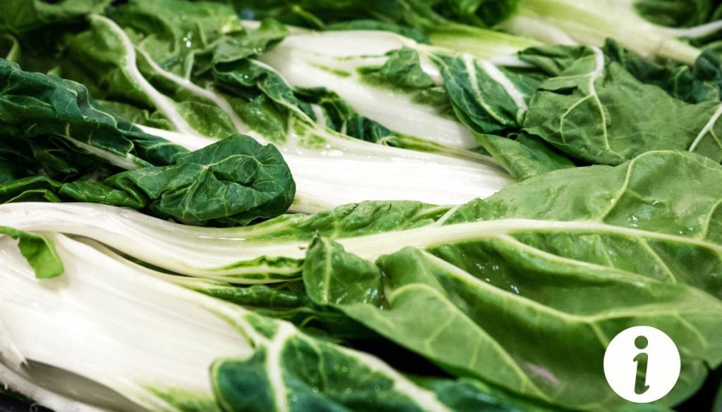 Peut-on donner des feuilles de blettes aux poules ? Ce qu'il faut savoir