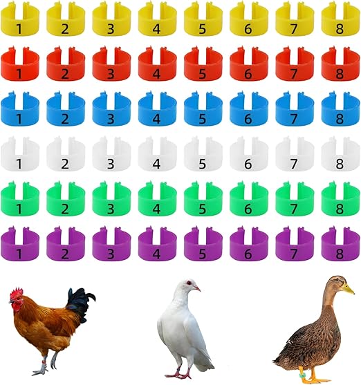 CYWVYNYT Lot de 48 anneaux de jambe multicolores pour identification de poulet - Clip numéroté sur volaille - Pour Gamefowl, dinde, canard, oie et Guinée (20 mm)