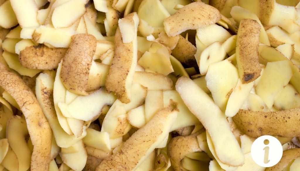 Épluchures de pommes de terre cuites pour les poules : bonnes ou mauvaises ?