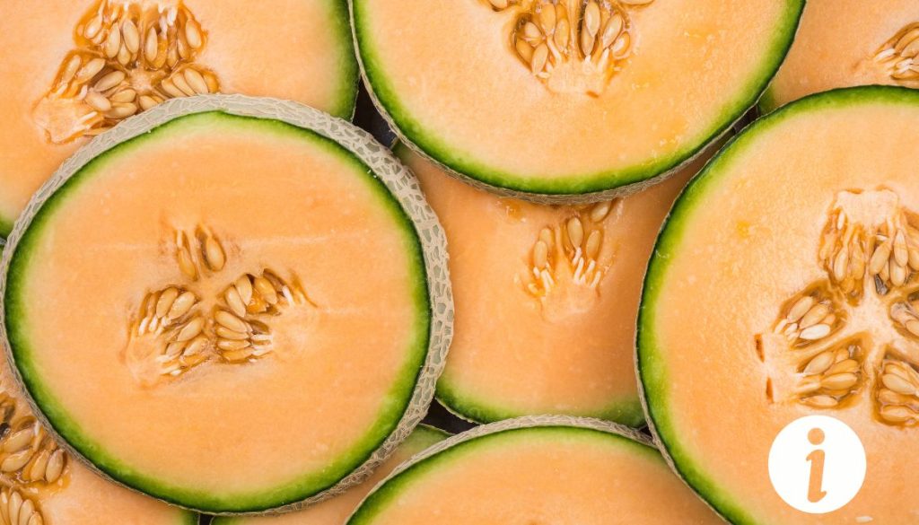Pépins de melon pour les poules : Tout ce que vous devez savoir