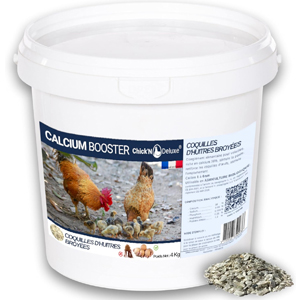 Complément Calcium (Coquilles d'huîtres) poule